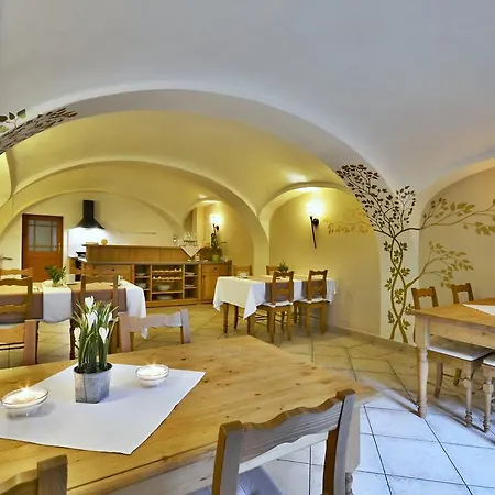 Conti 3*